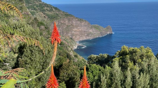 Funchal Bay 