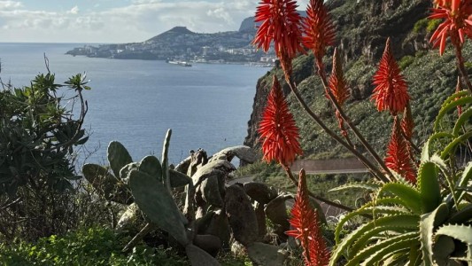 Funchal Bay 