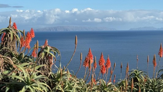 Funchal Bay 