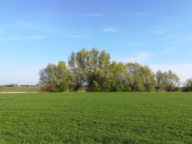 Het Pipeluurtje 