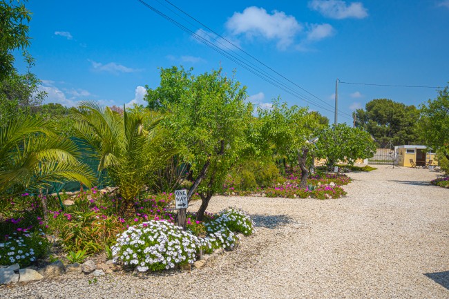 Finca Bilou 