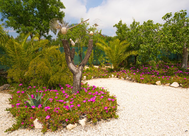 Finca Bilou 
