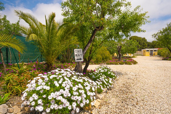 Finca Bilou 
