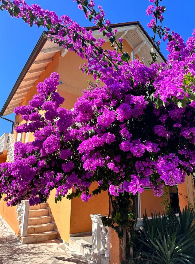 Villa nikki 