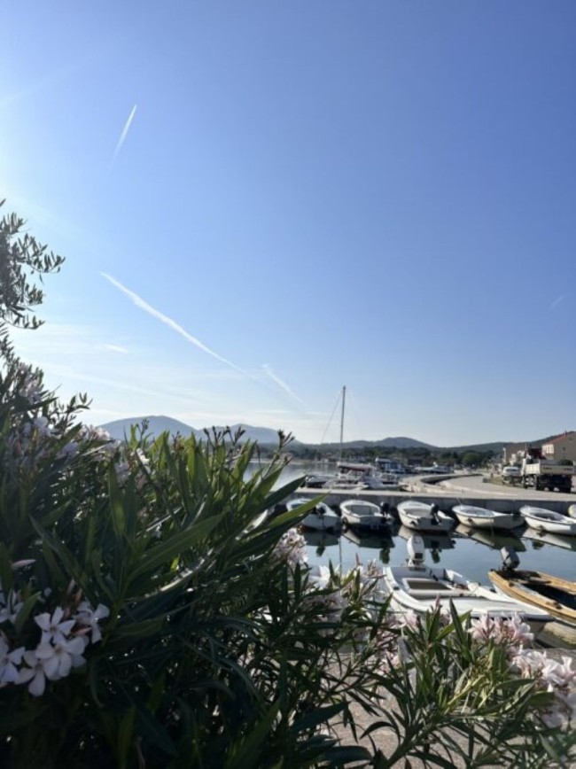 Villa nikki 