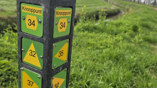 Overnachten bij Riekje 