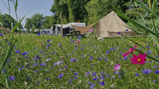 Camping Fleerhof 
