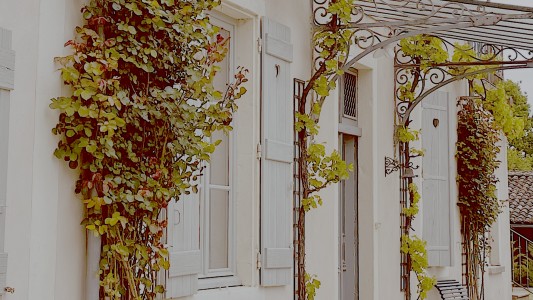 Domaine les Darbonnets 