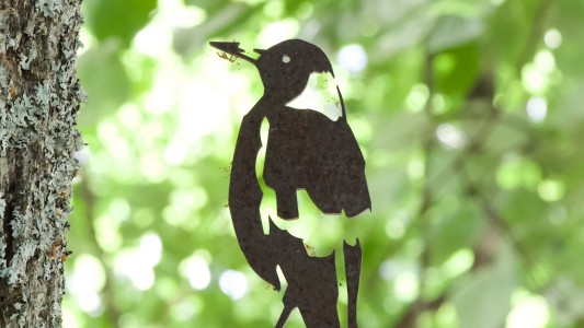 Domaine les Darbonnets 