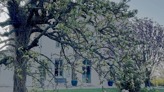 Domaine les Darbonnets 