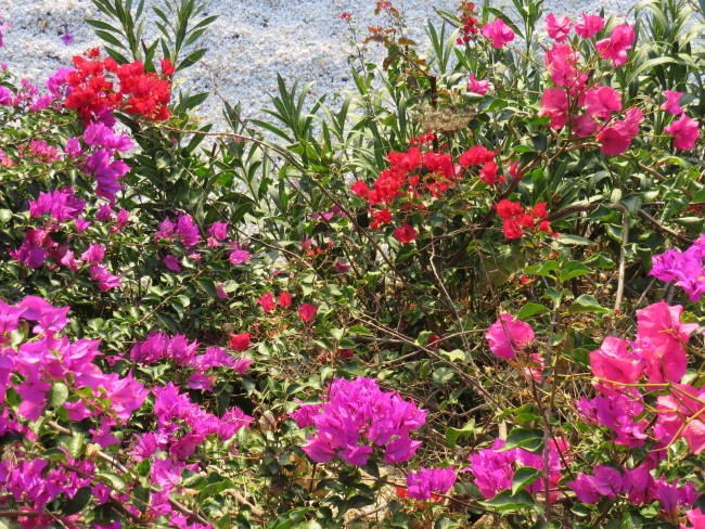 Finca RustiQ 