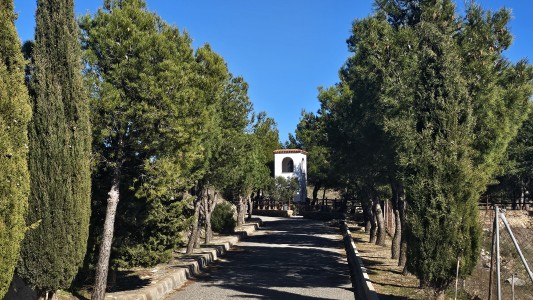Cortijo MaSy 