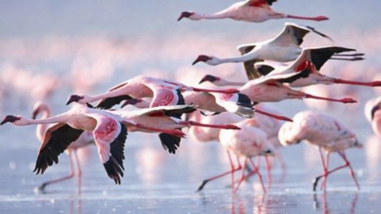 Casa Novi Torrevieja 