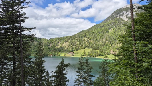Appartement Kirchberg in Tirol 
