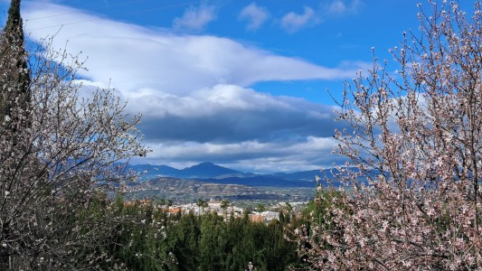 B&B Villa Gran Vista 