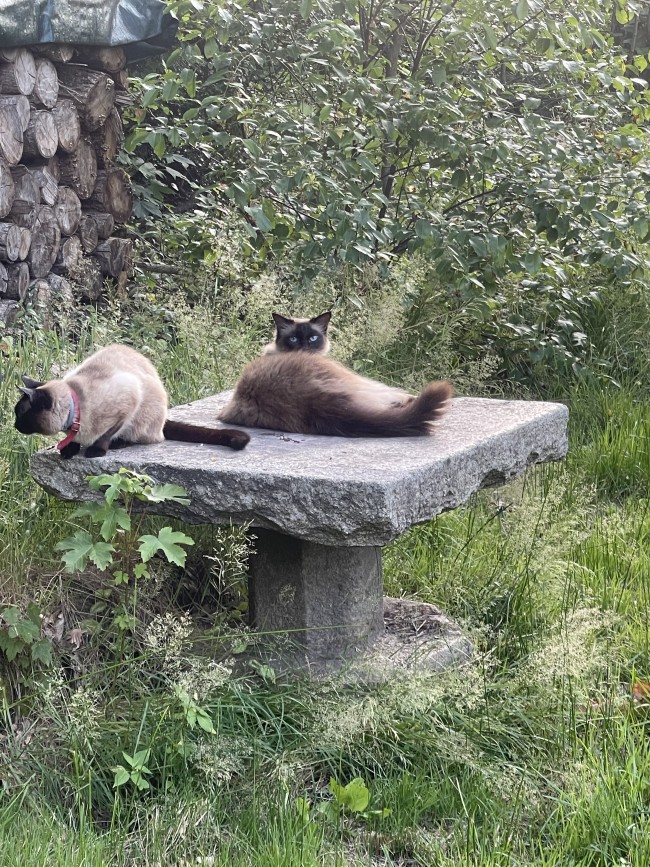 Ecolodge Bergzicht 