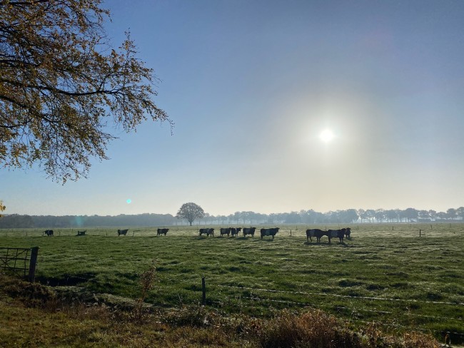 Ecolodge Bergzicht 