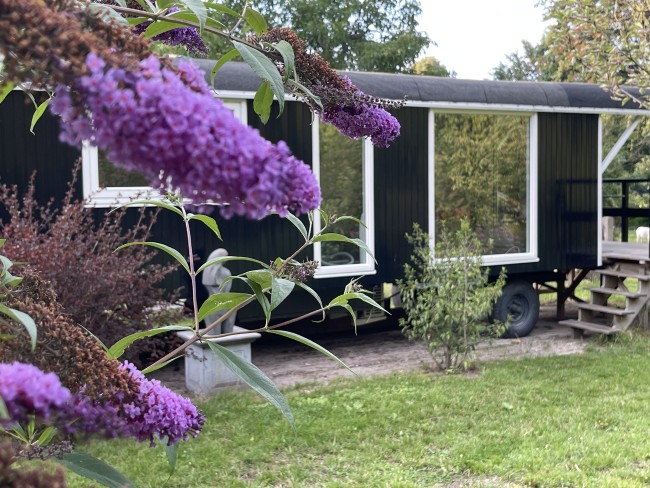 Ecolodge Bergzicht 