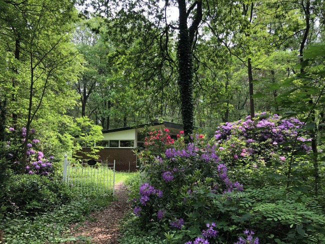 Ecolodge Bergzicht 