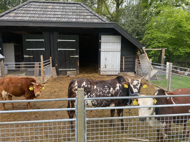 Ecolodge Bergzicht 