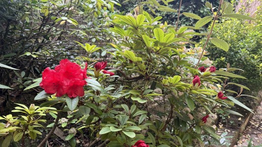 Oranienburg — Private Garden Residence 