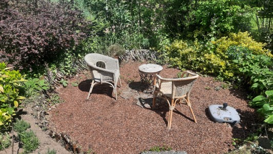 Suzie's Cottage 
