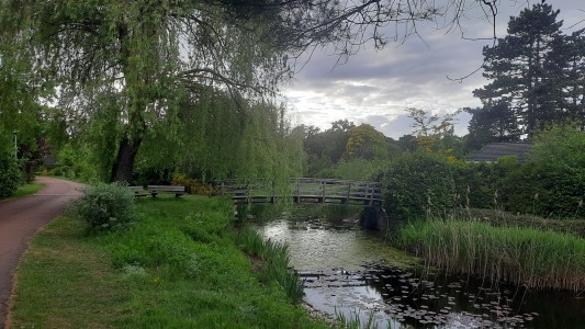 Suzie's Cottage 