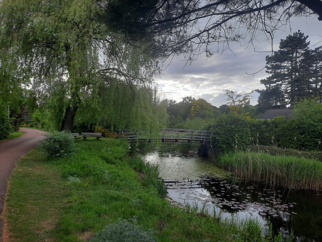 Suzie's Cottage 