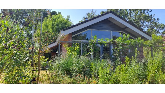 Suzie's Cottage 