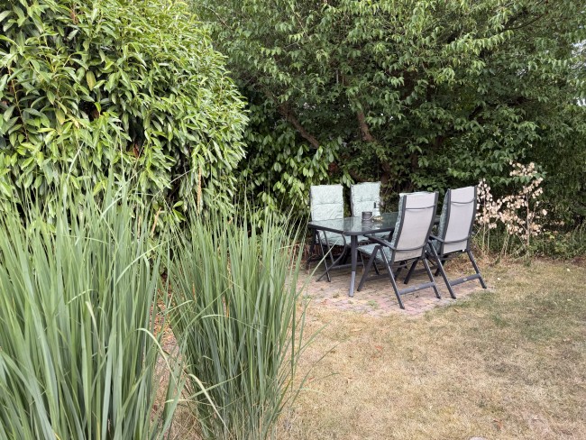 Suzie's Cottage 