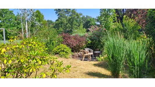 Suzie's Cottage 