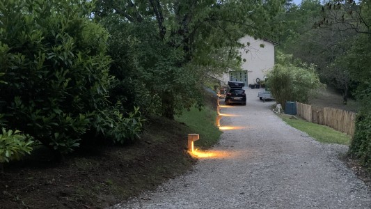 Joie de Vivre 