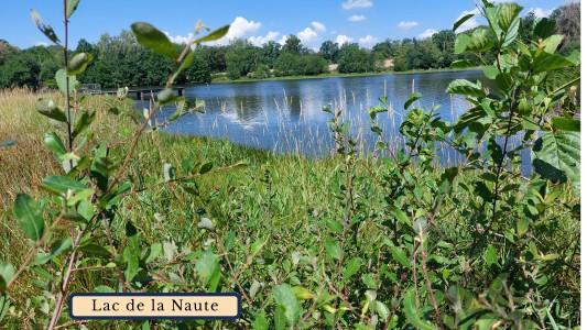 GitesDesChiens.com 