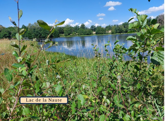 GitesDesChiens.com 