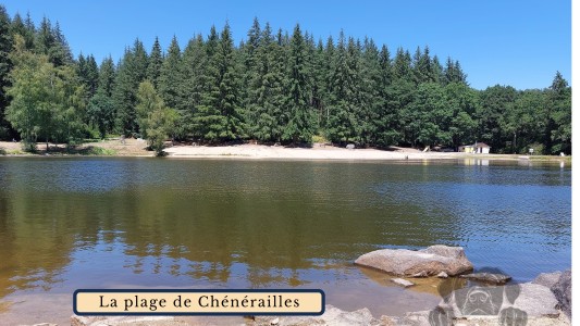 GitesDesChiens.com 
