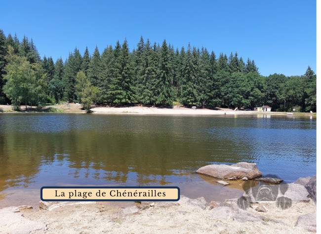 GitesDesChiens.com 