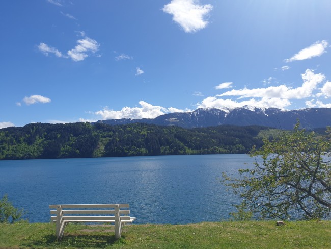 Waldvilla 