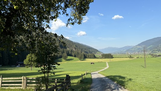 Haus Rosmarin 