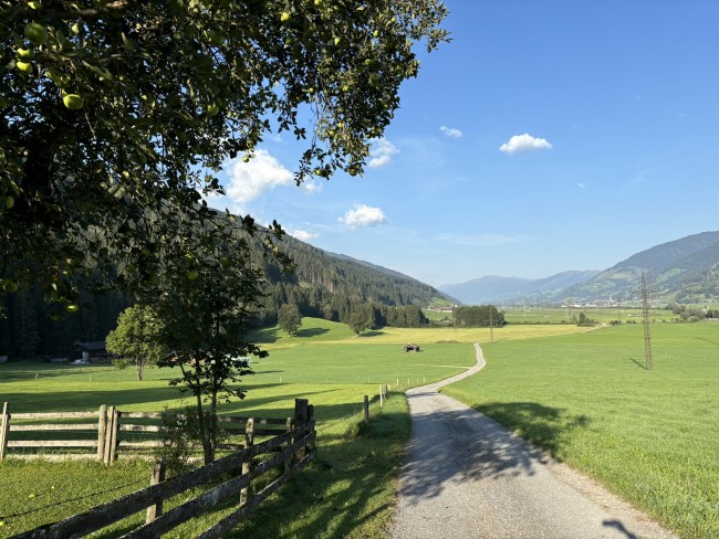 Haus Rosmarin 