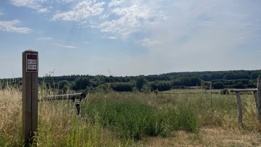 WildeRust 