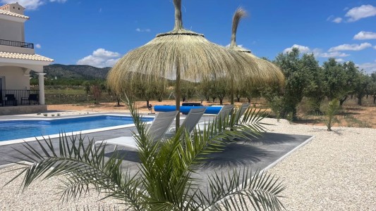 Villa Oro Blanco 