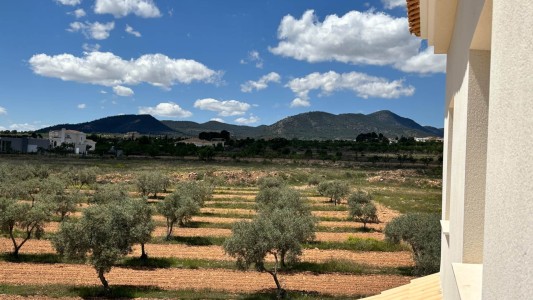 Villa Oro Blanco 