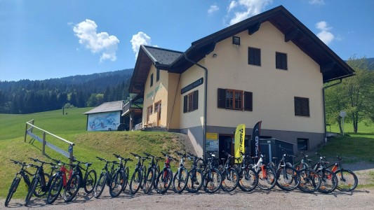 Ferienhaus Arenda 