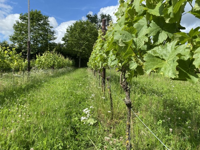 La ferme aux biches 