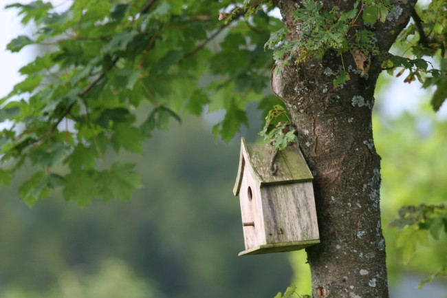 La ferme aux biches 