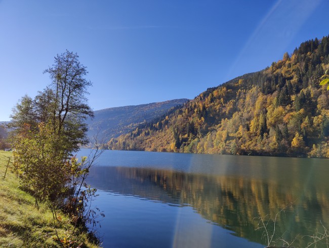 Pension Almhof 