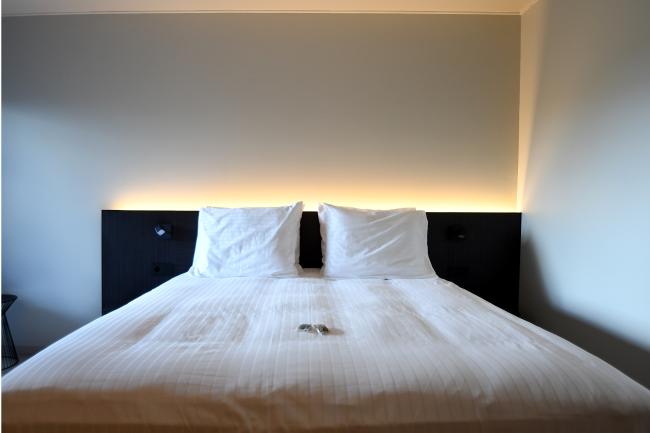 Hotel Hallensis 