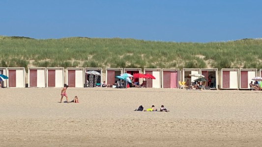 Guesthouse & apartments In de Aap