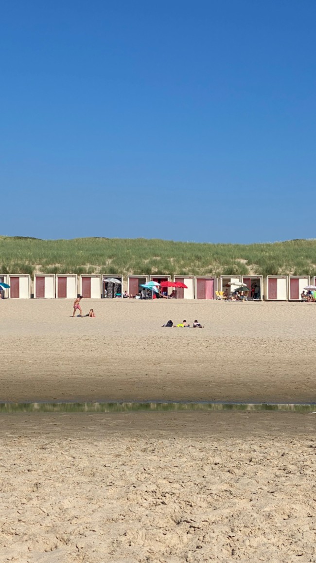 Guesthouse & apartments In de Aap 