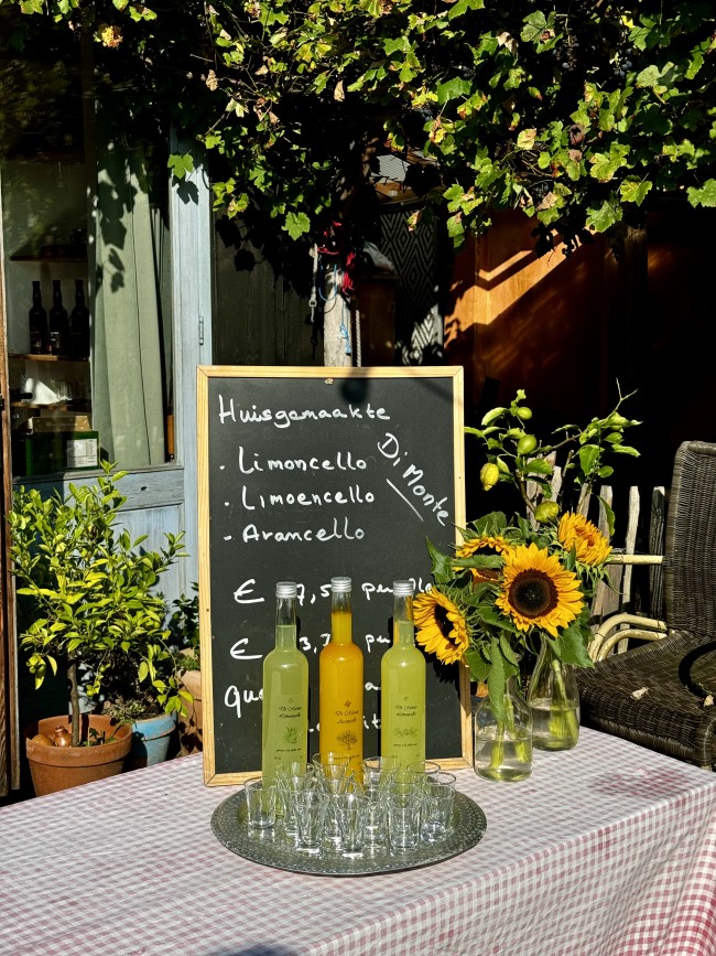 Guesthouse & apartments In de Aap 